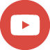 YouTube fox 