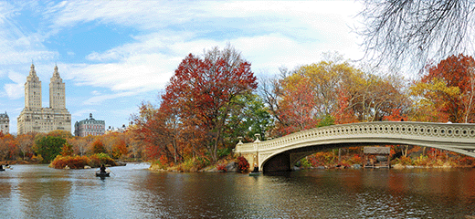 Cheap Car Rental in New York